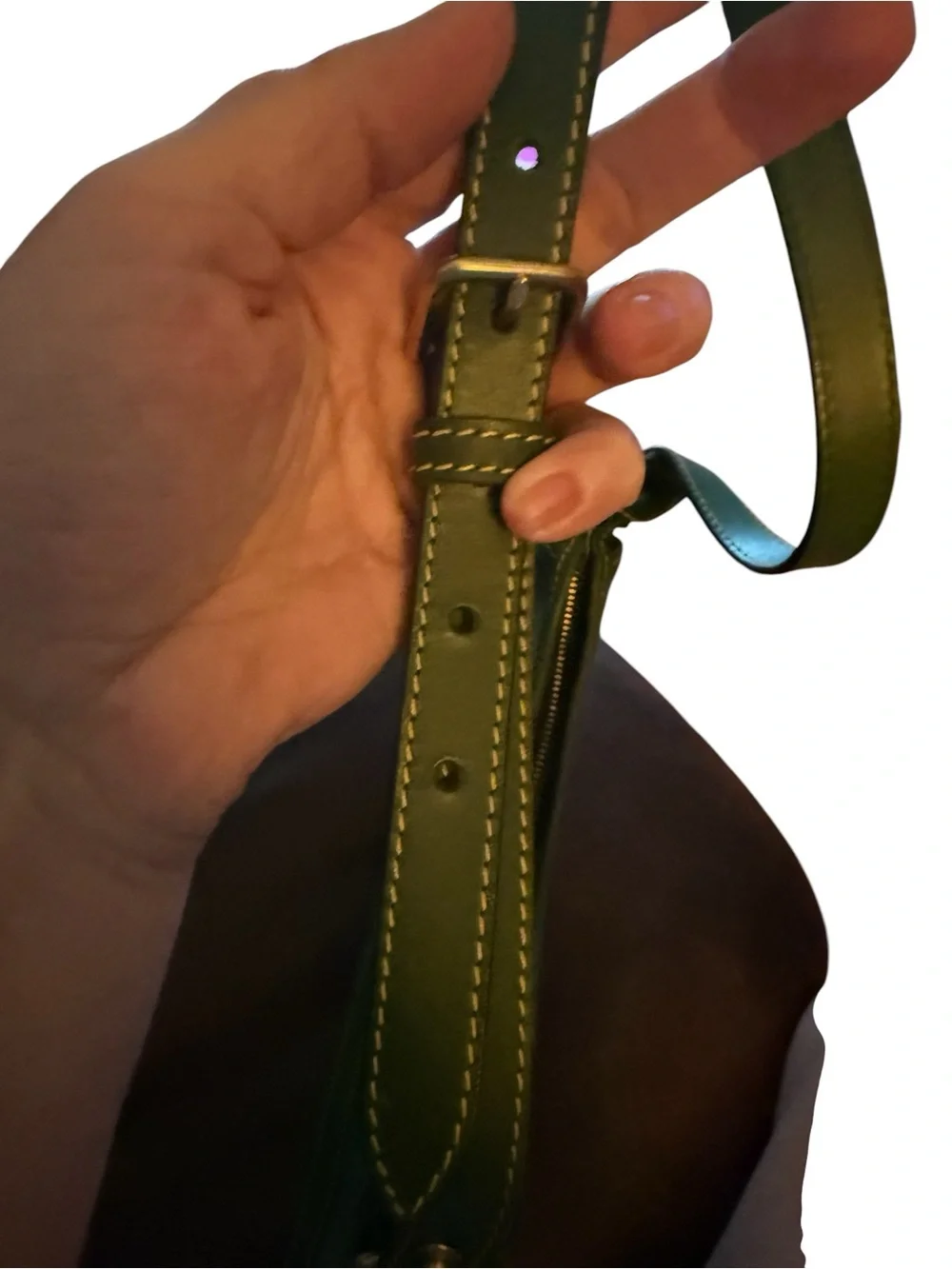 NWT Dooney & Bourke Green Canvas Leather Hobo Bag